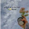 reemm3645