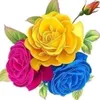 user4783276243073