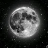 ahmad.kalary35