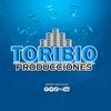 toribio_producciones