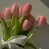 user1976095154185