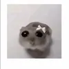 isa_e_moots