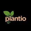 Plantio12