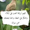.farmasi43