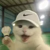 yiehh2