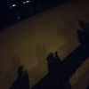 halooo_0011