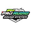 FRJ audio miniatur 03