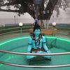 aasha.limbu