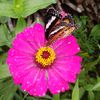 aakash0224