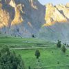 asgar.abbas47