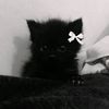 lerqwz_12