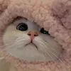 ohmaegawdd