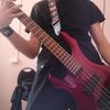 onixsologitar