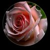 user661312613912