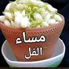 mahmoud93785
