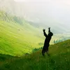 afr._00