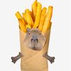 pikzzzaa