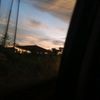 yun_yun_3