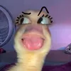 intawallanwallashoda4