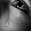 ikramsonu804