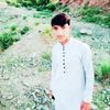 aliarman311