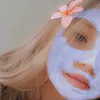 lisaframe8