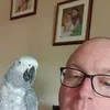 darrenflood8