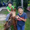 roselia_gonzalez
