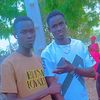ganis7124