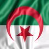 hamid.djamel