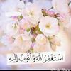 user4838567137214