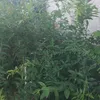 jlpaul.com