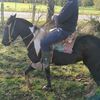 user885934489