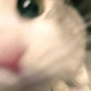 _cimol_03