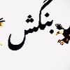 mustafabangash341