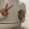 ssibbsam