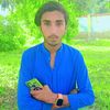dilbarhussain4229