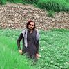 musawaziristani2