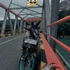 mx_7star_01