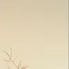 whos_this042