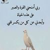user5790665221218