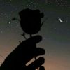 sad_yess0