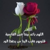 omfahd5255