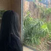 thvy_2312