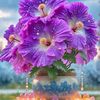 mb.shahin.alam8