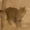 ifdulhcsog.igzffi