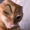 mizan.asrori5