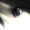 1.z__0