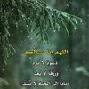 user1507181155321