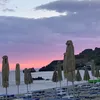 evaewers8